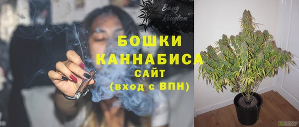 ECSTASY Остров
