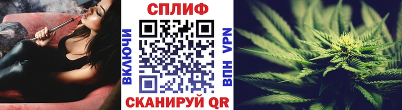 Каннабис конопля Волосово